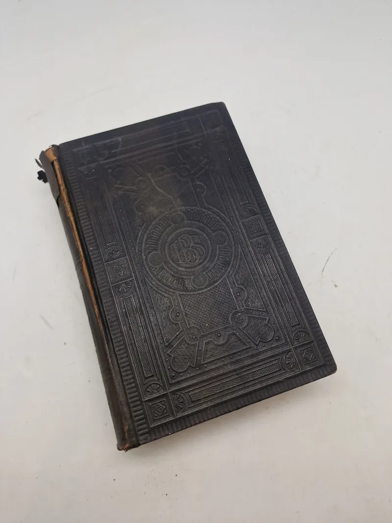 Original bibel 1891