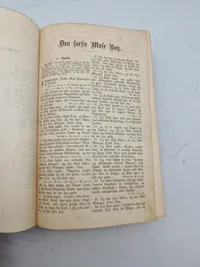 Original bibel 1891