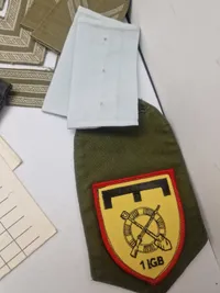 Samling dansk militaria
