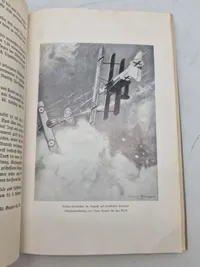 Bog om WW1 flyvere