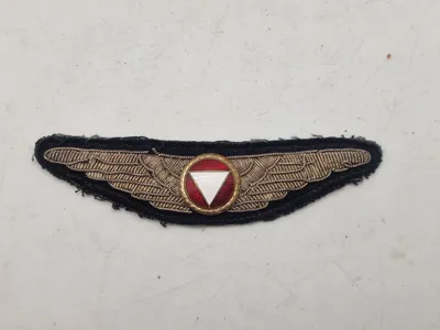 Original østrisk flyvevinge WW2