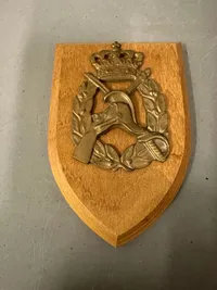 Hærens kampskole