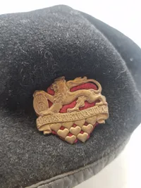 Original dansk hær baret -Jyske dragonregiment