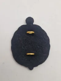 Originale danske DANILOG regimentsmærker
