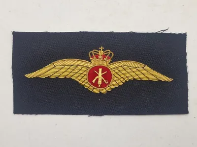 Original dansk flyvevinge Hæren