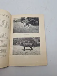 HUNDE OG HUNDEFØRERE