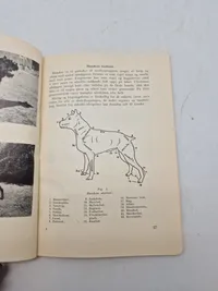 HUNDE OG HUNDEFØRERE