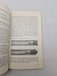 HAGLGEVÆRET