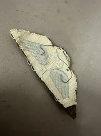 Original Engelsk WW2 faldskærmsvinge