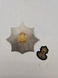 Originalt dansk livgarde lot - Sol til bjørnerskindshuen, og M2 Rex som håndstukket bryst mærke.