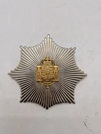 Originalt dansk livgarde lot - Sol til bjørnerskindshuen, og M2 Rex som håndstukket bryst mærke.