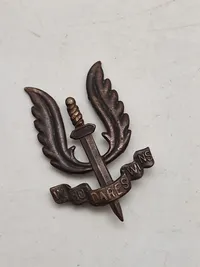 Originalt SAS baret mærke