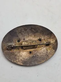 Originalt NSKK Reichflug badge 1938