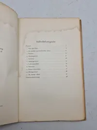 Moderne Vaaben