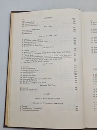 Elements of ammunition