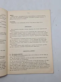 Fodfolks bataljonens sammensætning og lette våben