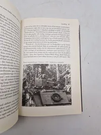 Vietnamkrigen - Nederlag og Sejr