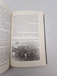 Vietnamkrigen - Nederlag og Sejr