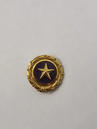 Lot diverse Purple Heart relateret