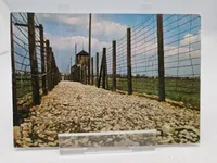 Samling fotos - kz lejr