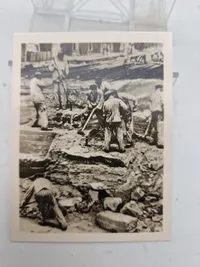 Foto samling Sachenhausen