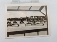Foto samling Sachenhausen