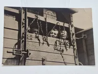Foto samling - Birkenau