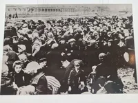 Foto samling - Birkenau
