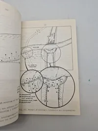 Ingeniørtjeneste for alle våben - Landminetjeneste