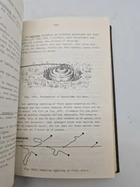 Ingeniørtjeneste for alle våben - Landminetjeneste