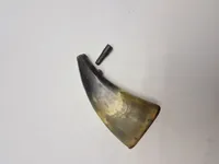 Originalt krudthorn