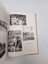 Sjældent originalt tysk  Lot fra “Der Stahlhelm)