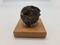 Original granatsplint fra Verdun (WW1)