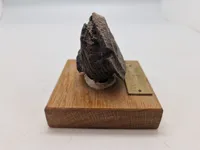 Original granatsplint fra Verdun (WW1)