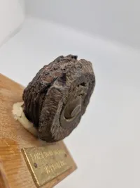 Original granatsplint fra Verdun (WW1)