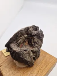 Original granatsplint fra Verdun (WW1)