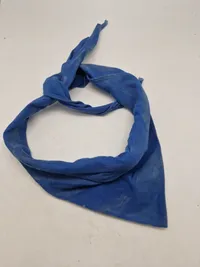 Originalt Bornholmsk spejderlot fra 1950’erne