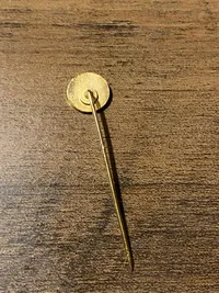 Orignal pin - modstandsbevægelsen