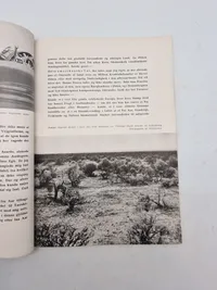Originalt eks af Germanske Budstikke 1943