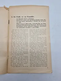 Dansk folkefællesskab - Program