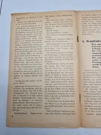 Dansk folkefællesskab - Program