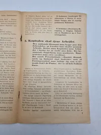 Dansk folkefællesskab - Program