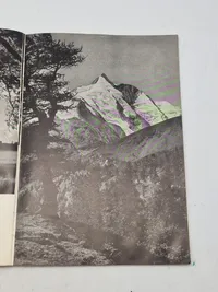 Originalt eks af Germanske budstikke 1942