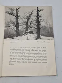 Originalt eks af Germanske budstikke 1942