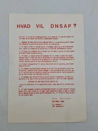 Original DNSAP flyer