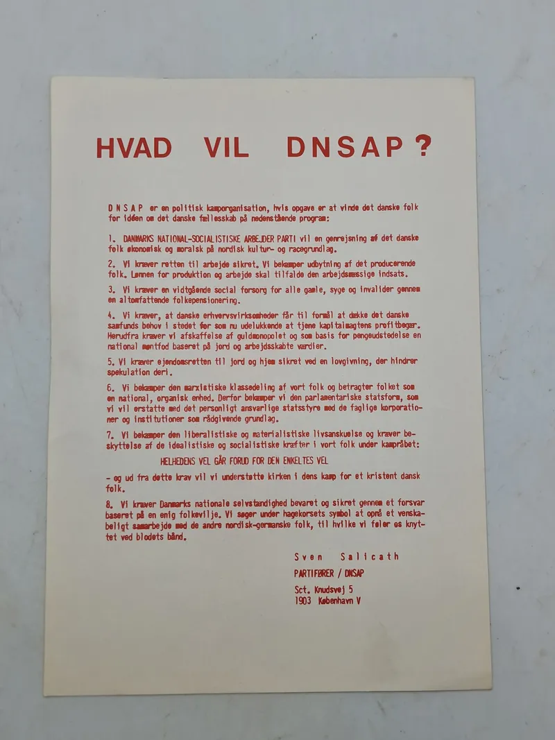 Original DNSAP flyer
