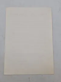 Original DNSAP flyer