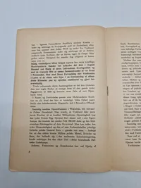 Tale af Rigsfører Himmler til folkestormens medlemmer