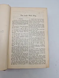 Original bibel fra 1893