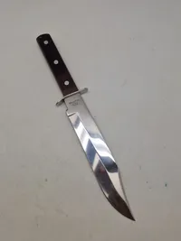 Bowie dolk